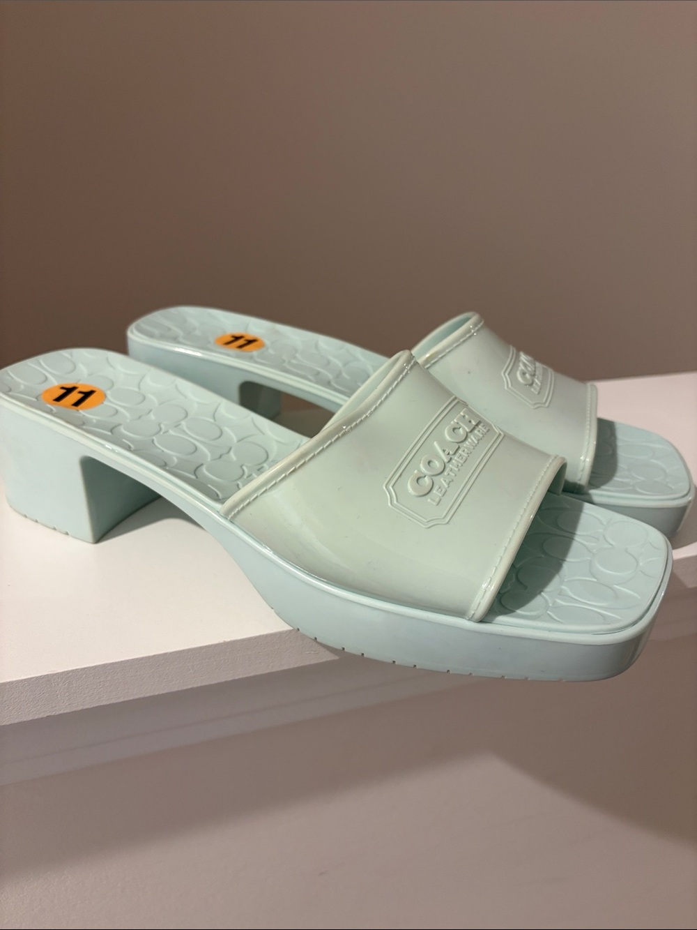 Coach Mint Green Jelly Block Heel Slide Mules (NWOT)